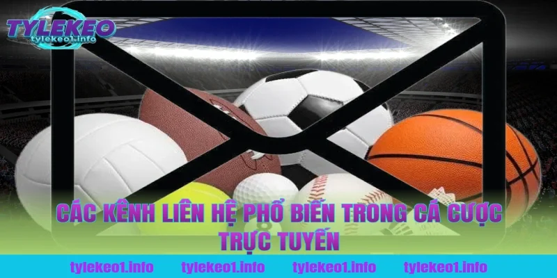 Các kênh liên hệ phổ biến trong cá cược trực tuyến