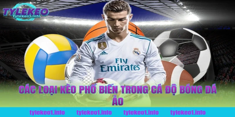 Các loại kèo phổ biến trong cá độ bóng đá ảo tại tỷ lệ kèo