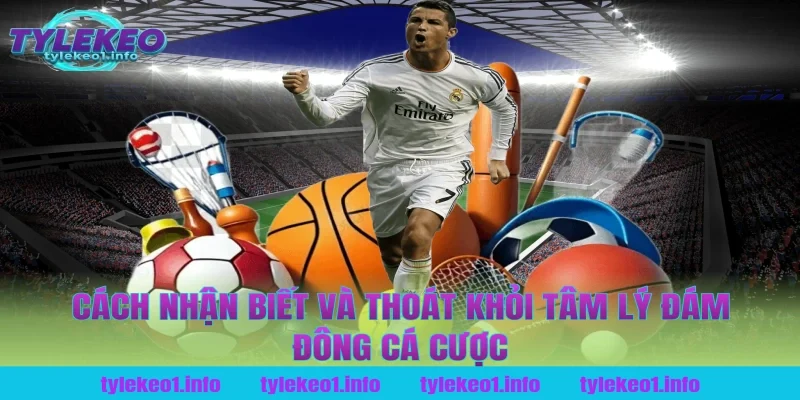 Cách Nhận Biết Và Thoát Khỏi Tâm Lý Đám Đông Cá Cược Tại Tỷ Lệ Kèo