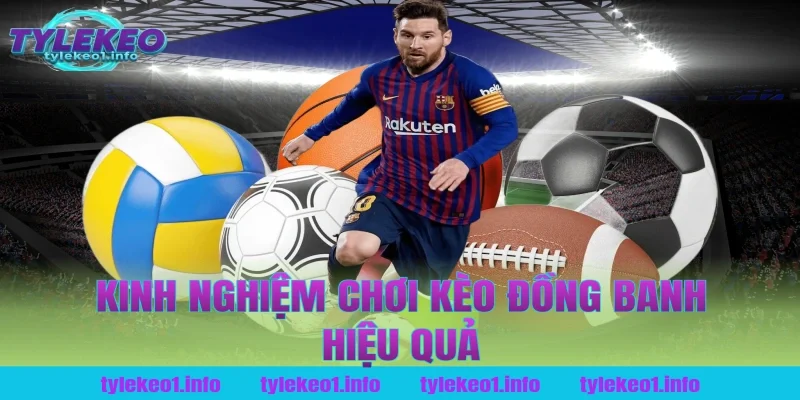 Kinh nghiệm chơi kèo đồng banh hiệu quả tại tỷ lệ kèo