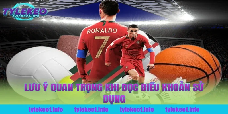 Lưu ý quan trọng khi đọc điều khoản sử dụng