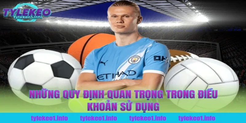 Những quy định quan trọng trong điều khoản sử dụng