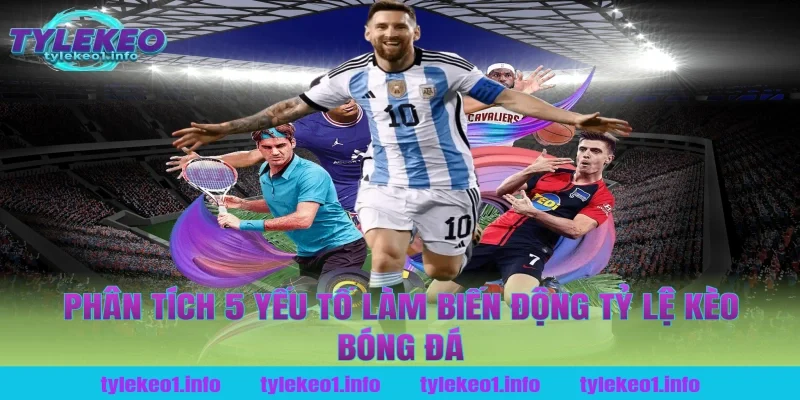 Phân Tích 5 Yếu Tố Làm Biến Động Tỷ Lệ Kèo Bóng Đá